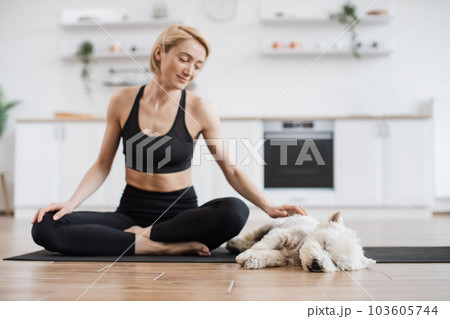 Yogini stroking dog during break in yoga session at home Yogini stroking dog during break in yoga session at home 103605744