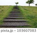 公園の階段 103607083