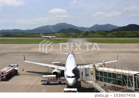 新石垣空港を離陸する飛行機と搭乗手続中の飛行機 新石垣空港を離陸する飛行機と搭乗手続中の飛行機 103607458