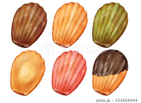 マドレーヌのセットイラストのイラスト素材 [103608044] - PIXTA