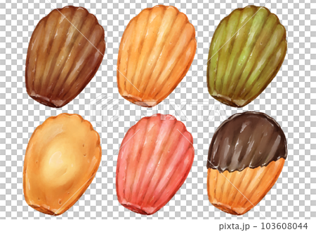マドレーヌのセットイラストのイラスト素材 [103608044] - PIXTA