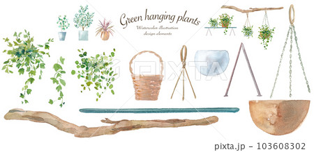 蔓植物とハンギングバスケットの水彩イラスト。コーディネイト可能な植物とガーデニング用品。 103608302