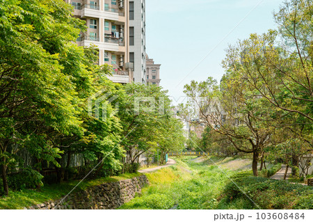 Hot Spring village green forest in Jiaoxi, Yilan County, Taiwan 103608484