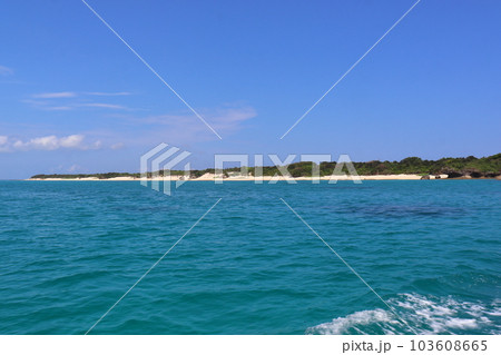新城島（パナリ島）の北の浜（新城島マイビシ海域公園地区） 103608665