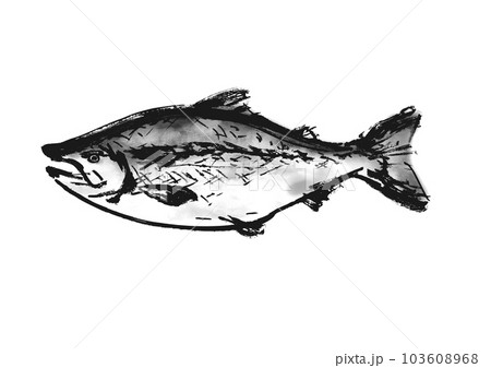 鮭の手描き和風イラスト和風素材 鮭の手描き和風イラスト和風素材 103608968