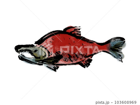 紅鮭の手描き和風イラスト和風素材 紅鮭の手描き和風イラスト和風素材 103608969