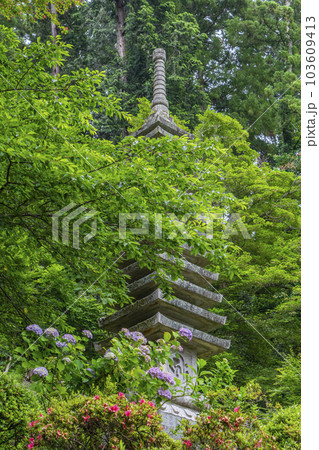 龍蓋寺（岡寺）　十三重石塔とツツジ　新緑の季節　--奈良県高市郡明日香村岡-- 103609413