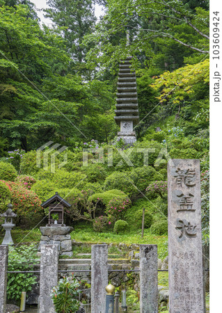 龍蓋寺（岡寺）　十三重石塔と龍蓋池　新緑の季節　--奈良県高市郡明日香村岡-- 103609424