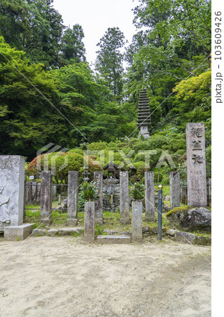 龍蓋寺（岡寺）　十三重石塔と龍蓋池　新緑の季節　--奈良県高市郡明日香村岡-- 103609426