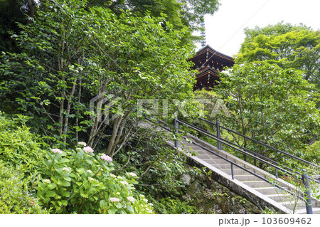 龍蓋寺（岡寺）　新緑に包まれた三重宝塔　--奈良県高市郡明日香村岡-- 103609462