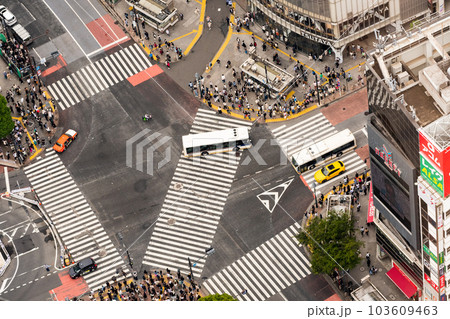 渋谷スカイからスクランブル交差点を見下ろす 103609463