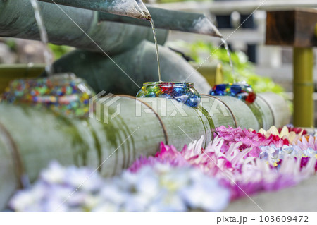 龍蓋寺（岡寺）フォトジェニックな花手水　--奈良県高市郡明日香村岡-- 103609472