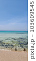 海と砂浜 103609545
