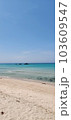 砂浜と海 103609547