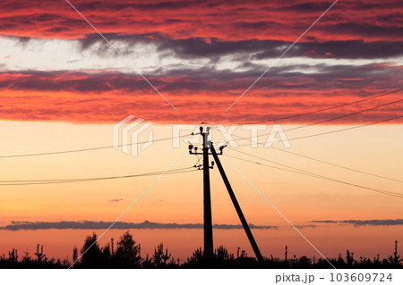 Electric line against colorful sky at sunset Electric line against colorful sky at sunset 103609724