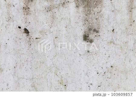 Grungy concrete wall and floor as background Grungy concrete wall and floor as background 103609857