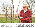 Front view of peasant in plaid shirt tree trunk greasing. Gardener in panama hat holding jar in gloves, taking care of trees in spring. Concept of nature and environment, 103610080
