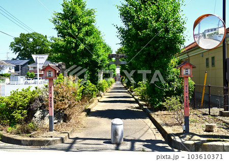 埼玉県深谷市東方の熊野大神社 103610371