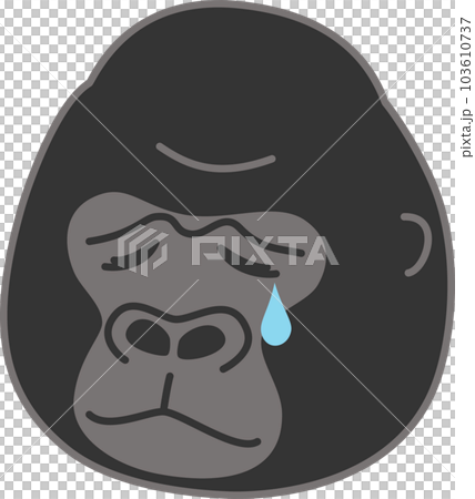 crying gorilla face illustration 103610737