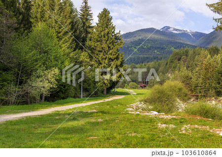Spring scene with ski road in Bansko, Bulgaria Spring scene with ski road in Bansko, Bulgaria 103610864