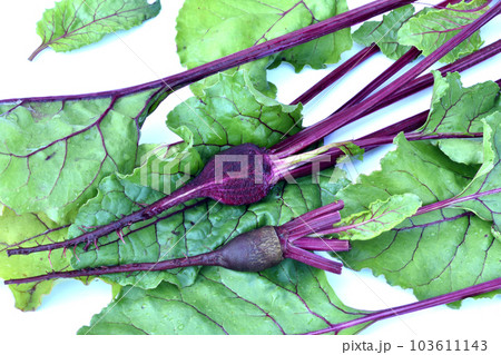 The first ovaries of the red beet fruit. 103611143