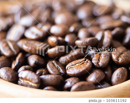 brown arabica coffee bean roast level medium to dark taste silverskin, silver skin seed caffeine espresso drink food cafe beverage Chiang Rai, Thailand coffee wooden table background selected focus 103611192