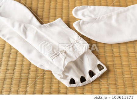 畳に置かれた足袋 103611273