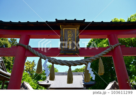 埼玉県深谷市東方の熊野大神社 埼玉県深谷市東方の熊野大神社 103611299