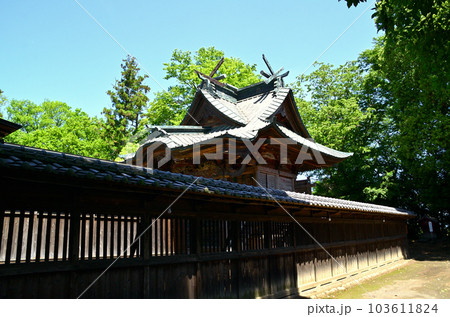 埼玉県深谷市東方の熊野大神社 埼玉県深谷市東方の熊野大神社 103611824