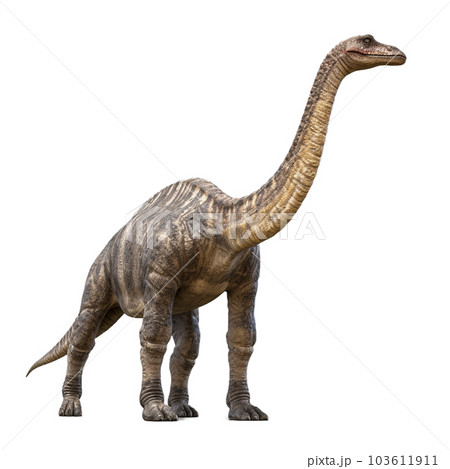 ブラキオサウルス3 ブラキオサウルス3 103611911
