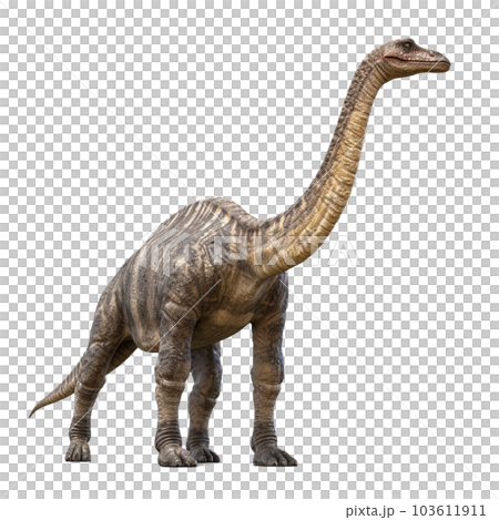 ブラキオサウルス3 ブラキオサウルス3 103611911