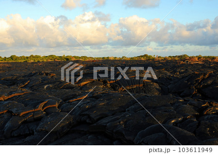 Fresh hardened Lava Kilauea volcano Fresh hardened Lava Kilauea volcano 103611949