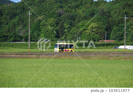 黄色の車体の広域生活バスが田園の広がる郊外の県道を走っている光景 黄色の車体の広域生活バスが田園の広がる郊外の県道を走っている光景 103611977