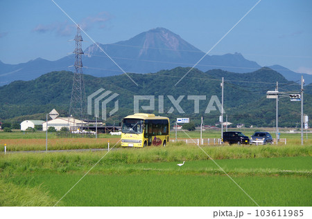 黄色の車体の広域生活バスが田園の広がる郊外の県道を走っている光景 103611985
