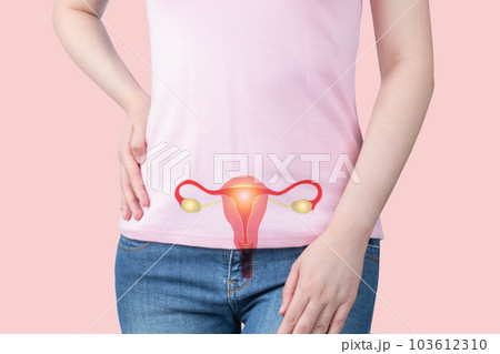 Healthy uterus and ovaries anatomy on female body over pink background. Woman reproductive health system and gynecology concept. 103612310