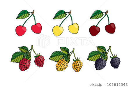 set of sweet cherry, raspberry, blackberry 103612348