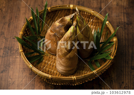 たけのこ たけのこ 103612978