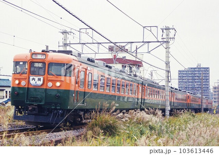 内房線を下る165系の急行内房号（2002年11月16日に運行されたリバイバル列車) 103613446