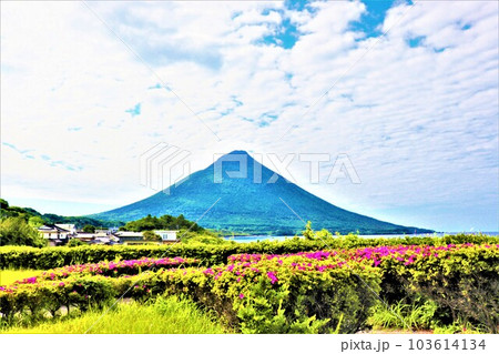 開聞岳 開聞岳 103614134