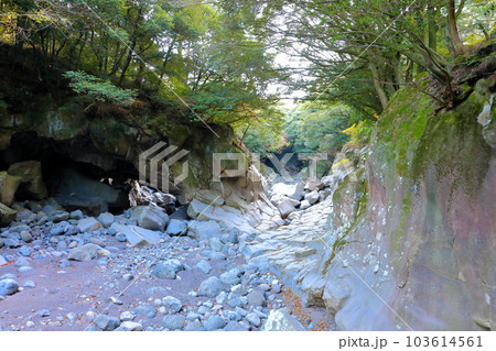 Beautiful scenery of Bangseonmun Valley, a famous tourist attraction in Jeju Island. Beautiful scenery of Bangseonmun Valley, a famous tourist attraction in Jeju Island. 103614561