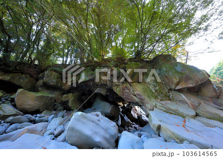 Beautiful scenery of Bangseonmun Valley, a famous tourist attraction in Jeju Island. 103614565