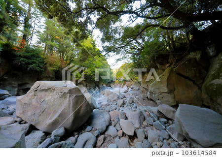 Beautiful scenery of Bangseonmun Valley, a famous tourist attraction in Jeju Island. Beautiful scenery of Bangseonmun Valley, a famous tourist attraction in Jeju Island. 103614584