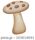 Mushroom watercolor painting 103614691