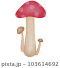 Mushroom watercolor painting 103614692