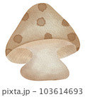Mushroom watercolor painting 103614693