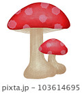 Mushroom watercolor painting 103614695