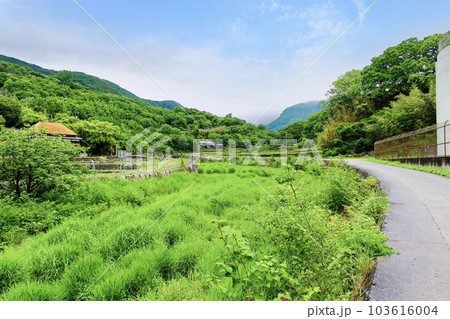 【香川】初夏の小豆島　肥土山〜中山エリアの農村風景 103616004