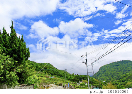【香川】初夏の小豆島 新緑と青空 【香川】初夏の小豆島 新緑と青空 103616065