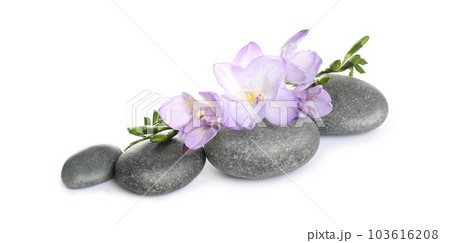 Spa stones and freesia flowers on white background 103616208