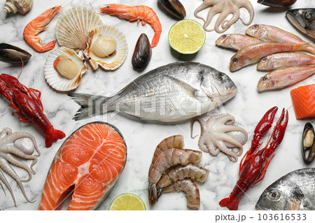 Fresh fish and different seafood on white marble table, flat lay 103616533